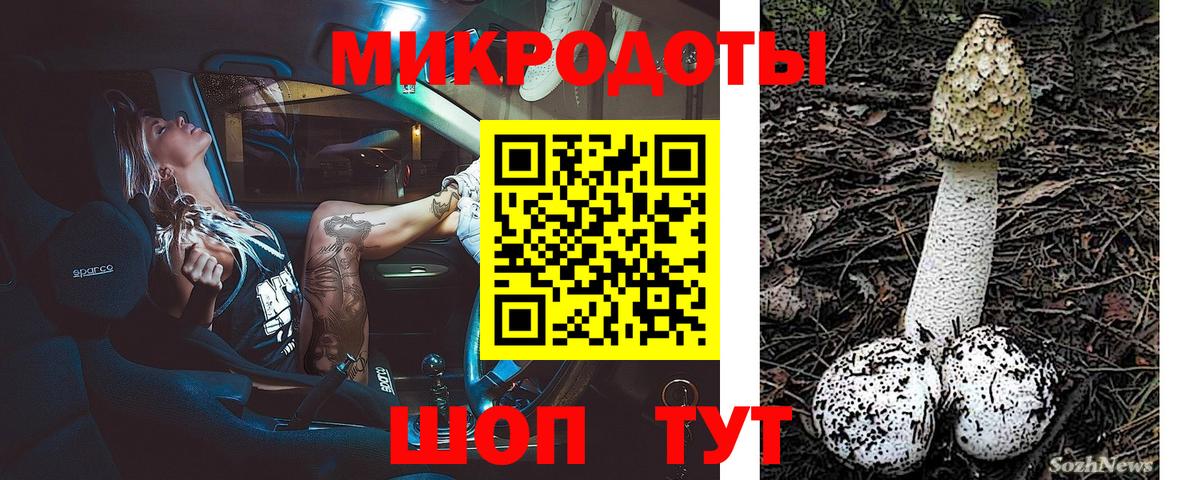 Псилоцибиновые грибы MAGIC MUSHROOMS  Вход с VPN  Долгопрудный 