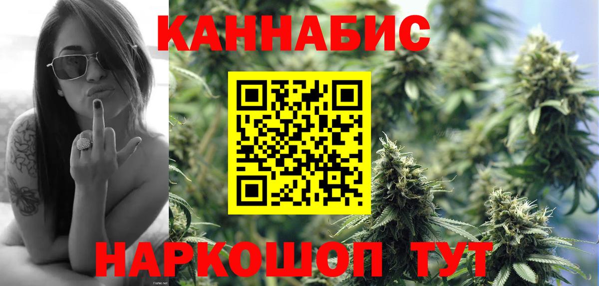 Бошки Шишки план Долгопрудный